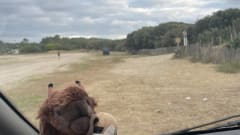 Buffel – 2-person campervan from 2004