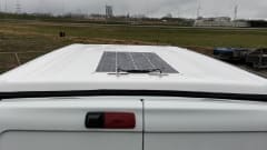 Renault Trafic Bus Camper