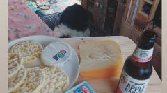 Muppet – 2p Volkswagen campervan uit 2000