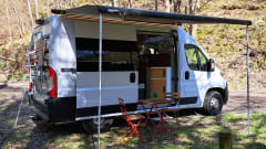 2p Fiat bus from 2020