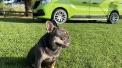 Penelope  – Penelope's Tourer