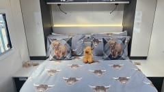 Rollerteam - Saundersfoot – 4 berth Roller Team semi-integrated from 2025