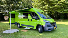 3p Fiat bus from 2019