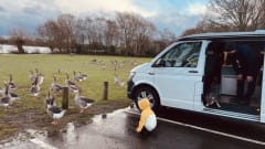 Nigel  – Midlands 2 Coast Campers, newly converted for all your camping needs! 