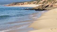 Laika Ecovip 3L in perfette condizioni.