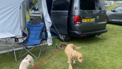 Ted – 4 berth Volkswagen campervan from 2020