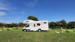 Hurricance – 6-persoons Roller Team halfintegraal uit 2021