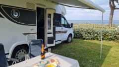 New Benimar Cocoon 463