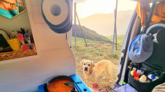 2-seater Nissan campervan from 2017