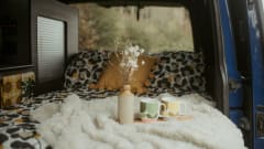 Vinnie – VW T5 Campervan Leicestershire