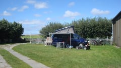 strong, tough VW T5 - California bus camper