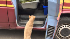 Hoggy – VW T4  🚂Hogwarts Express🚂