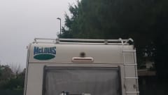Laura  – Camper with Latvian