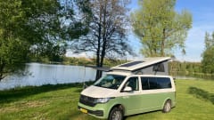Ventje Avocado – Guy Avocado '24; 4p Volkswagen camper van from 2024