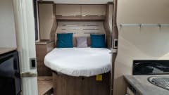 4p Chausson Titanium t628 from 2019