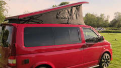  "Pacha" is a gorgeous cherry red, premium conversion