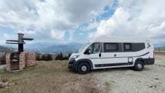  Swan – Nuovo Bravia 636 Swan