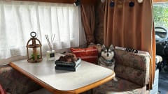 Jeranca – Cozy camper for 4 persons with reversing camera.