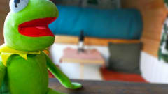Kermit – On an adventure with our fantastic Kermit the bus camper!