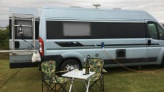 Bert the Boxer has been sold  – Bert the Boxer..... NON disponibile dal 23/8/21