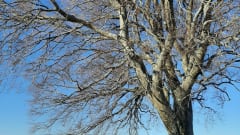 PEUF – das mini "camping car" 4x4 - 4 seasons kommt überall hin