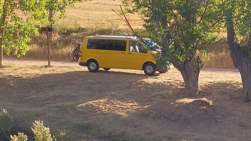 Het gele geluk 💛 – VW T5 yellow bus with modern interior