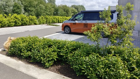 California – Volkswagen-Campingbus für 4 Personen ab 2026