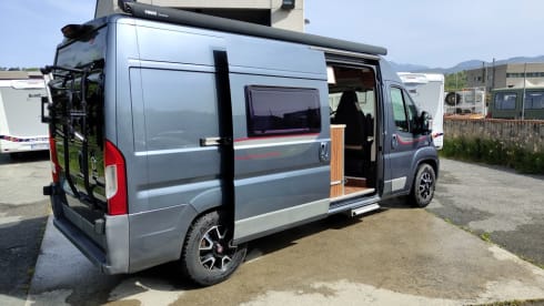 Living Stone 2 – LAIKA Ecovip 300