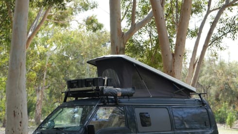 Mitch (für Freunde)