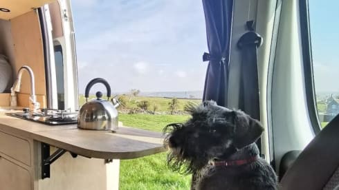 Peugeot campervan met 2 slaapplaatsen uit 2016