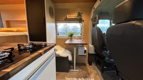 Roadturtle – Bus camper Peugeot for the ultimate holiday