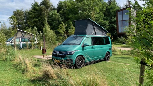 FREE MILEAGE! Travel with this VW California Ocean Bulli T6.1