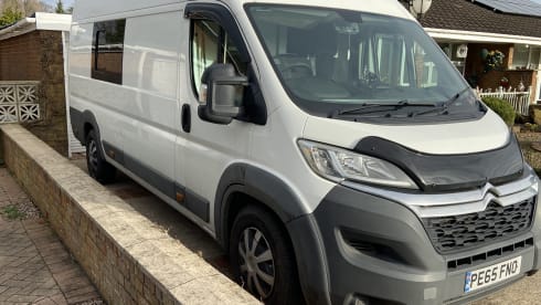 White Shark  – Wild Camper