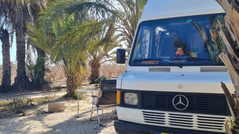 Mille  – Mille in Sweden tough oldtimer Mercedes Marco Polo