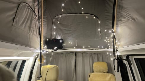 July – Cool fresh retro VW T4