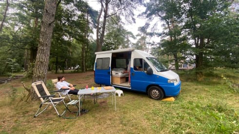 Francis de camperbus – Charmante Fiat Ducato met groot bed (geschikt voor lange mensen)