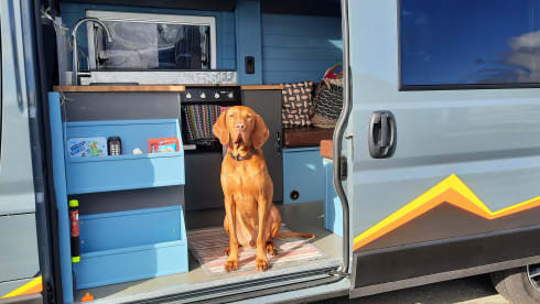 "Bod Campervan"  Luxury, Perfect for Two! (Staffs/N.Wales)