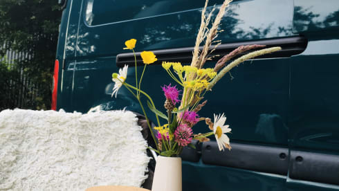 Zus – Hip camper van Zus. Very nicely decorated.