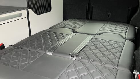 Lily – Lily - T6.1 Adventure Transporter