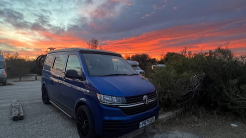 Fergus – Fergus the Campervan