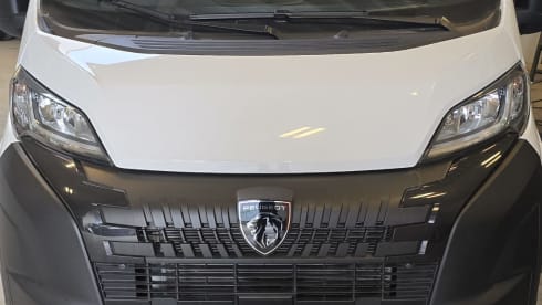 The Fox new overlander  – 2p Sunlight bus from 2025