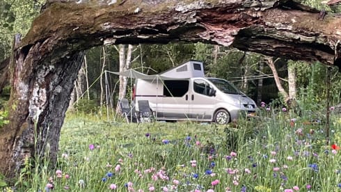 InneGer – Compact, practical and cozy 2 person camper (bus) (extra long).