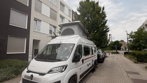 Wheely Willy – 4p Roller Team bus uit 2026
