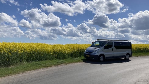 Njord – Spacious practical bus camper