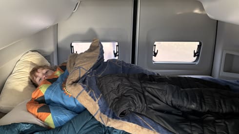 Grote beer – 4p Volkswagen campervan from 2022