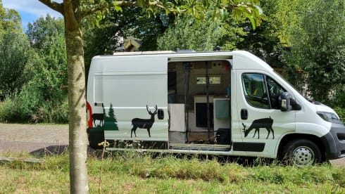 2p Peugeot bus from 2018