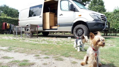 Free Spirit – 3p Mercedes-Benz bus uit 2016
