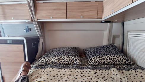 Hammer Grand Canyon bus camper