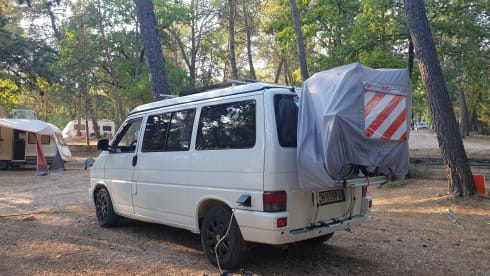 Rino il campeRino – Volkswagen T4 westfalia california