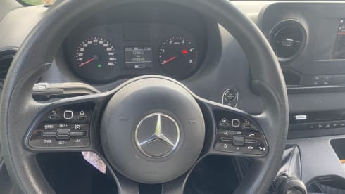 Lizz – 2p Mercedes-Benz bus from 2023